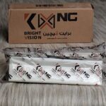 فراشة ايجيبل برايت فيجن